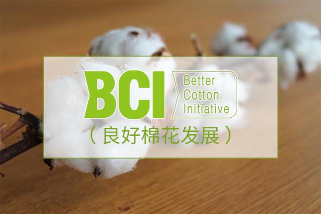 江門BCI認證資料