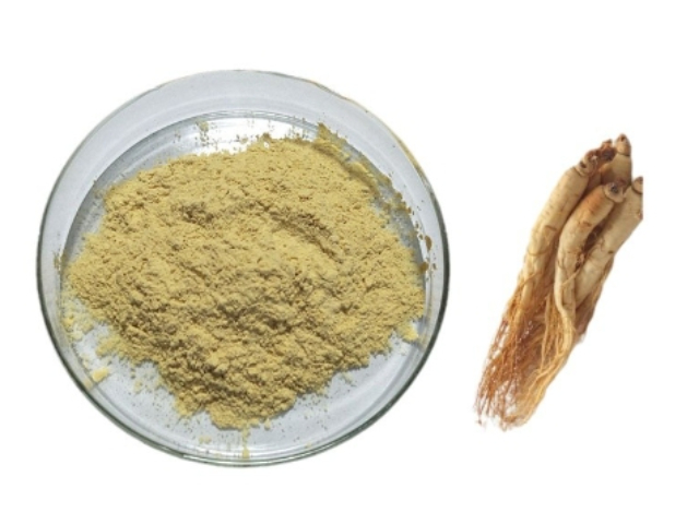 攀枝花人參皂甙源頭供貨商,人參皂甙