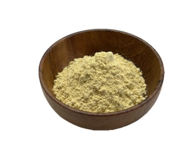泰安人參皂甙生產(chǎn)廠家