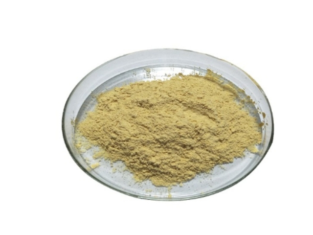 寧夏人參皂甙貨源源頭 歡迎咨詢 西安金萃坊植物技術(shù)開發(fā)供應(yīng)