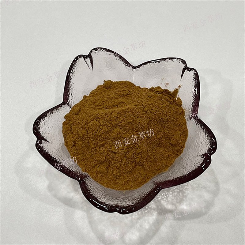 夏枯草|夏枯草提取物