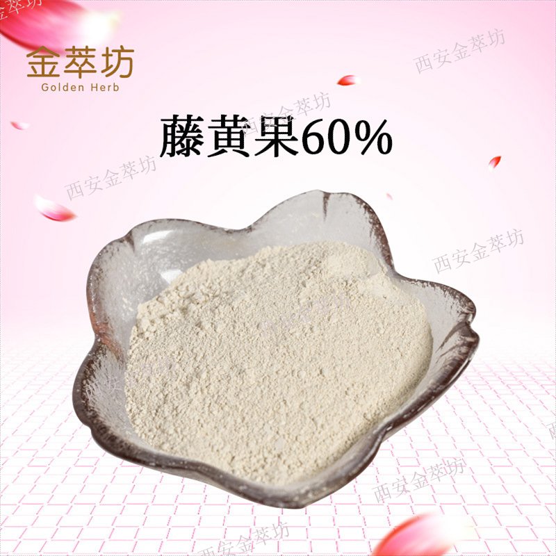 藤黄果60% |藤黄果提取物