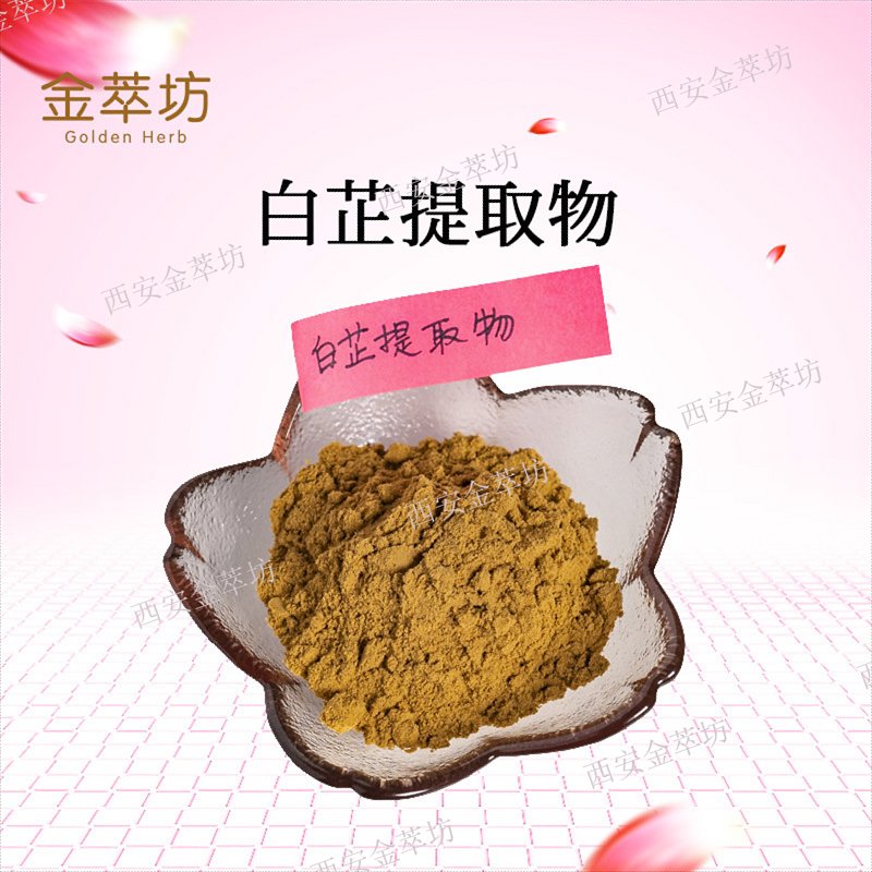 白芷提取物