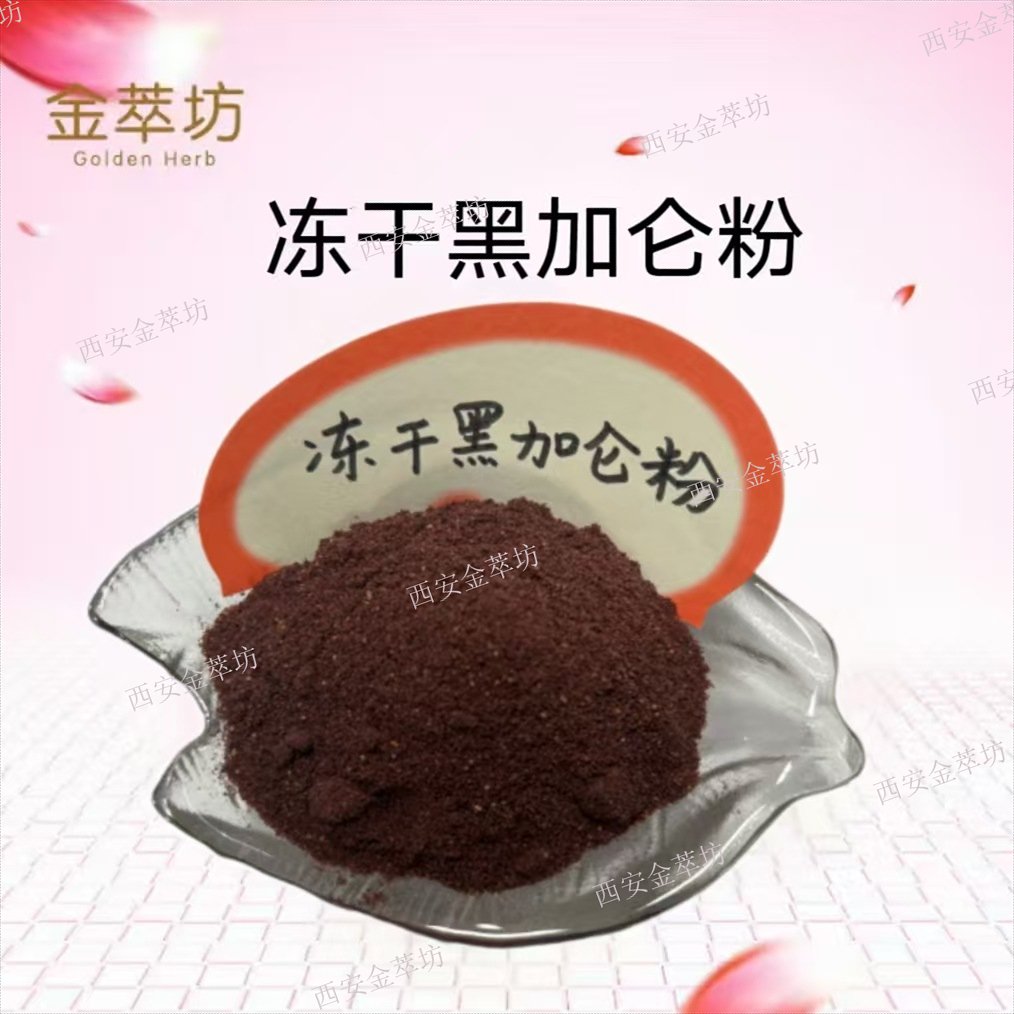 凍干黑加侖粉 