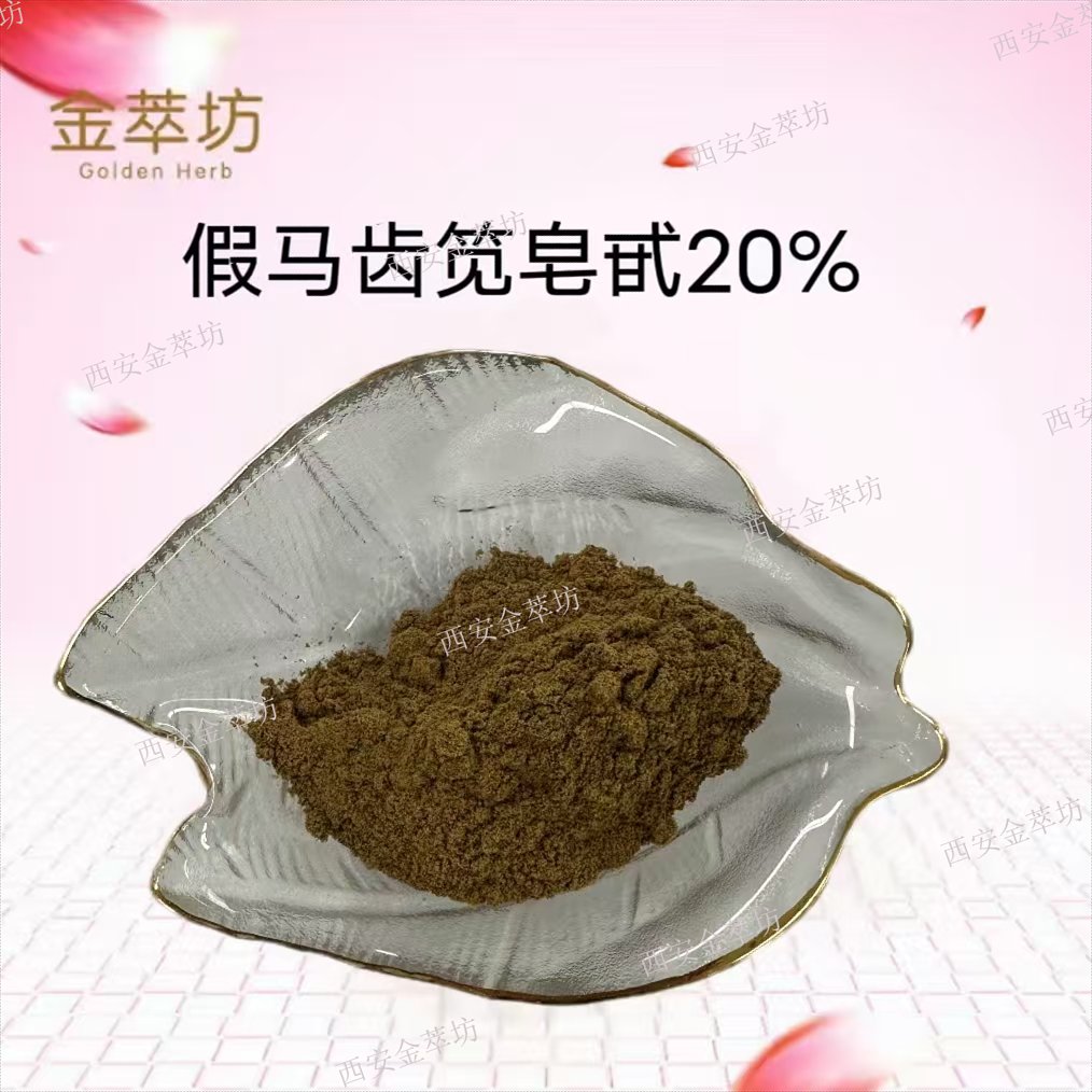 假馬齒莧皂甙20%|假馬齒莧提取物