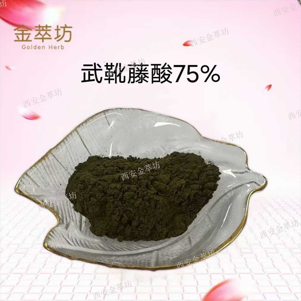 武靴藤酸75%|武靴藤提取物