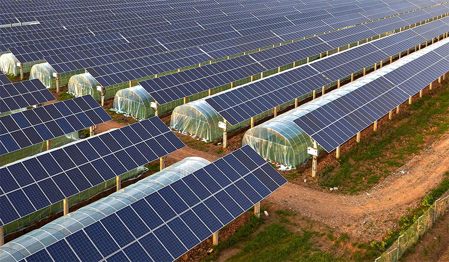 Greenhouse Integrated Photovoltaic (GiPV) Modules