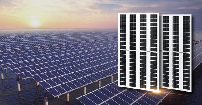 Customize Double glass Transparent/Bifacial solar modules