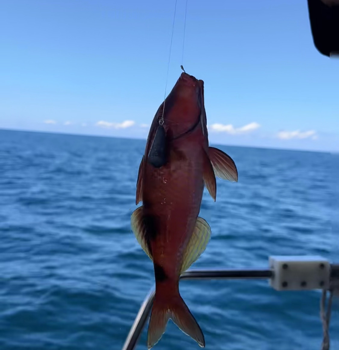 海口游艇包船出海海钓选船指南：爱艇网严选船队解析