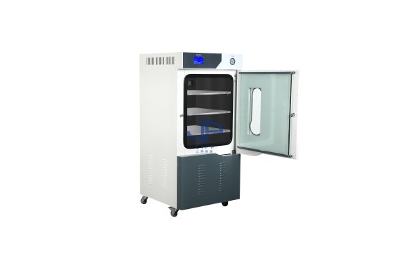 DZF-6090L-立式真空干燥箱