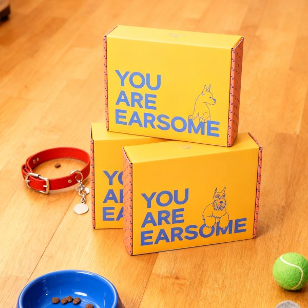 寵物用品紙盒｜狗狗零食與玩具包裝盒