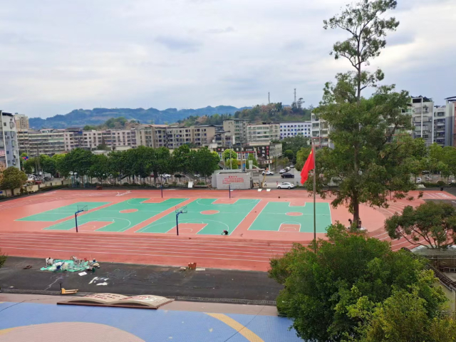 成都EPDM塑膠跑道報價 誠信服務(wù) 廣州蘭波旺體育設(shè)施供應(yīng)