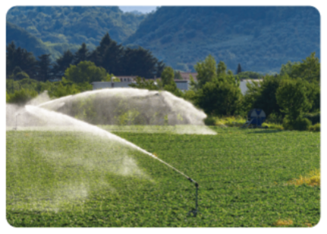 云南高山水泵汽油機 來電咨詢 浙江臺州悅農機械科技供應