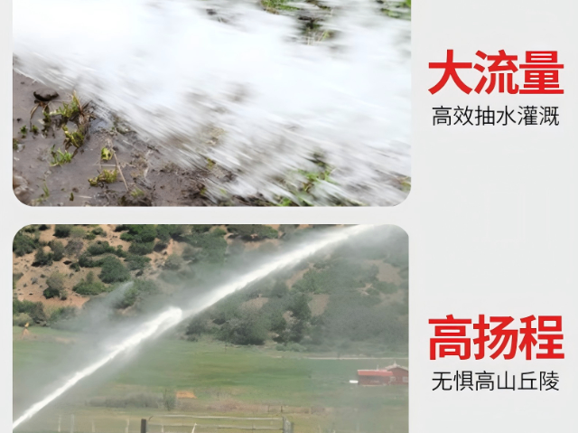 臺州悅農(nóng)清洗機質(zhì)量好嗎 推薦咨詢 浙江臺州悅農(nóng)機械科技供應(yīng)