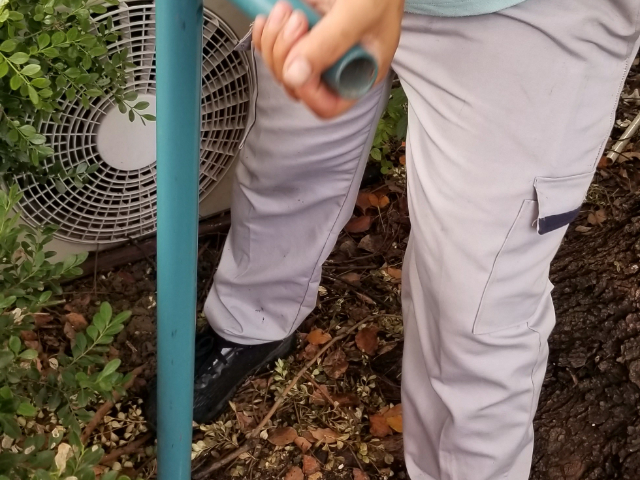 蟑螂消殺電話多少