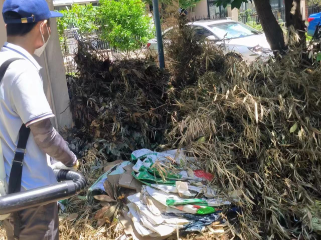 松江區老鼠消殺價目表,消殺
