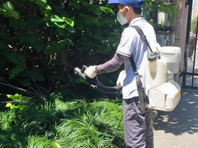 杭州果蠅消殺保證質量