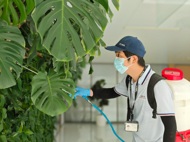 嘉興制造業(yè)工廠除蟲哪家好,除蟲