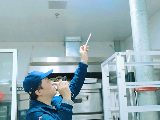 湖州工廠除蟲怎么收費 歡迎來電 上海三緣環(huán)境科技供應