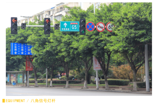 成都LED路燈桿安裝 歡迎咨詢 四川華創(chuàng)智慧交通設(shè)施供應(yīng)