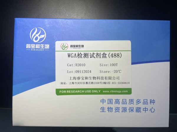 WGA檢測試劑盒(488)