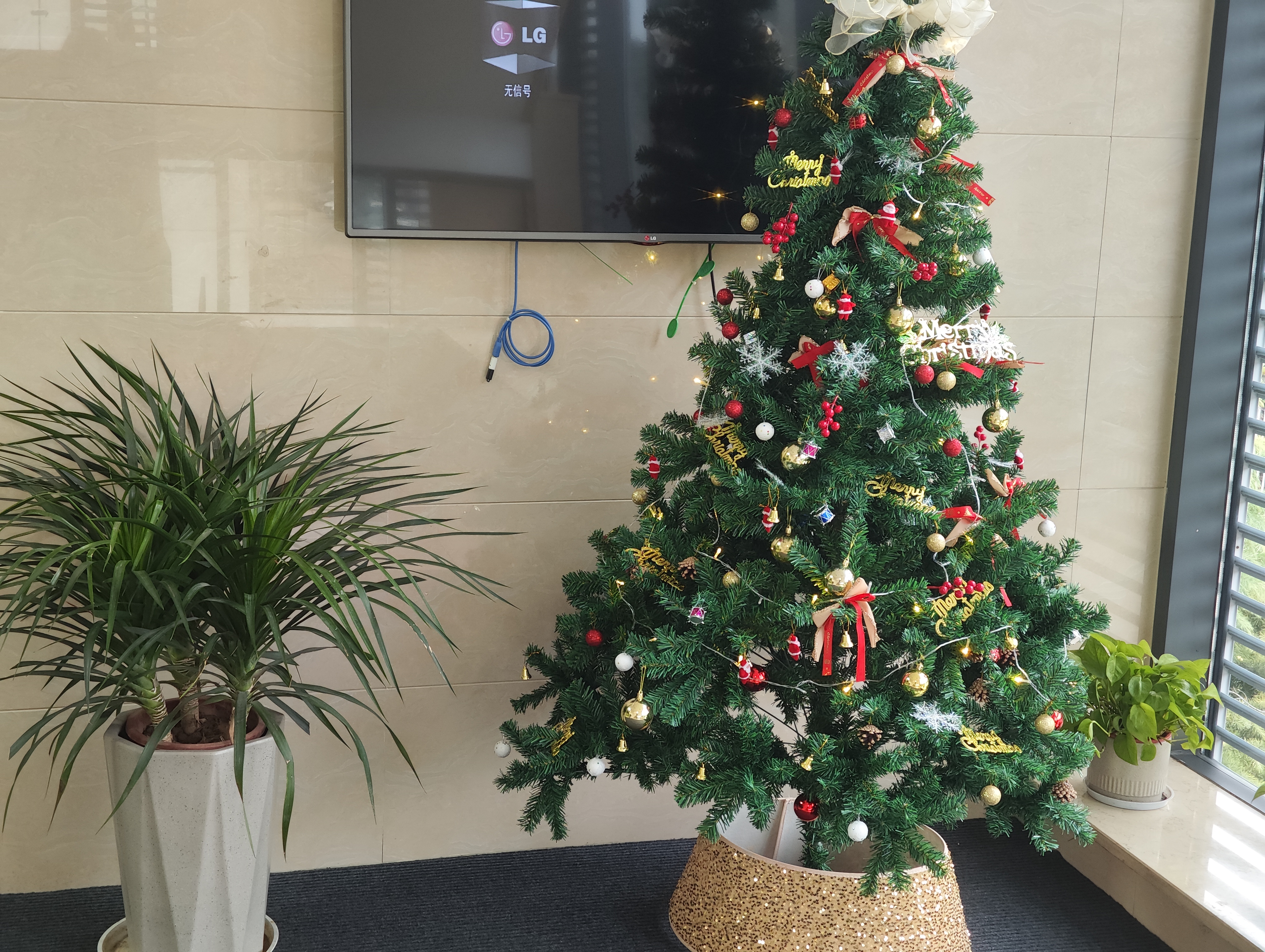 圣誕煥新·歲末回甘｜東宇東庵2025年度員工活動(dòng)暖心回顧