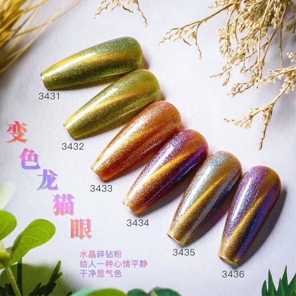 貓眼組合1