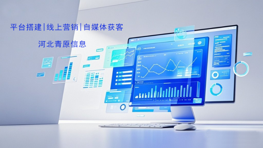 衡水网络营销视频