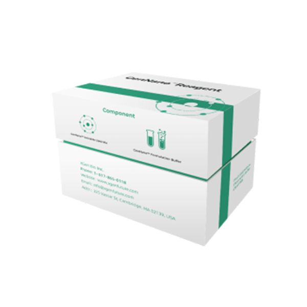 DNA/Protein-LNP Kit