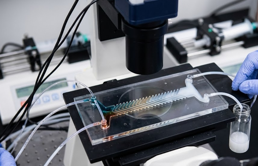 Microfluidic Mixing for Nanoparticle Formulation | XGen Bio