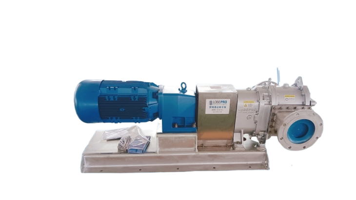 廣州品質可靠轉子泵大概多少錢 羅博思達上海流體供應