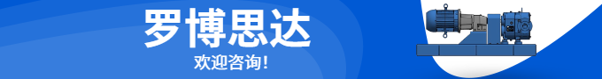 耐磨铸铁转子泵2