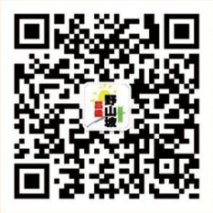 呂梁野山坡食品有限責任公司