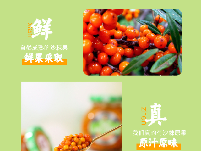 野生沙棘果罐頭辦公室零食 服務(wù)為先 呂梁野山坡食品供應(yīng)