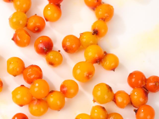 深圳無添加沙棘果罐頭健康零食 歡迎來電 呂梁野山坡食品供應(yīng)