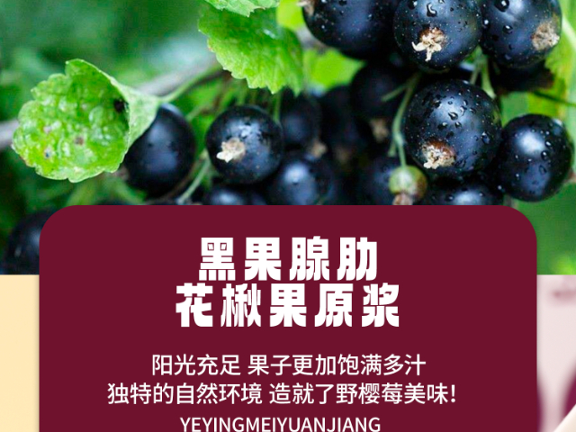 四川濃縮野櫻莓原漿批發(fā) 誠信互利 呂梁野山坡食品供應(yīng)