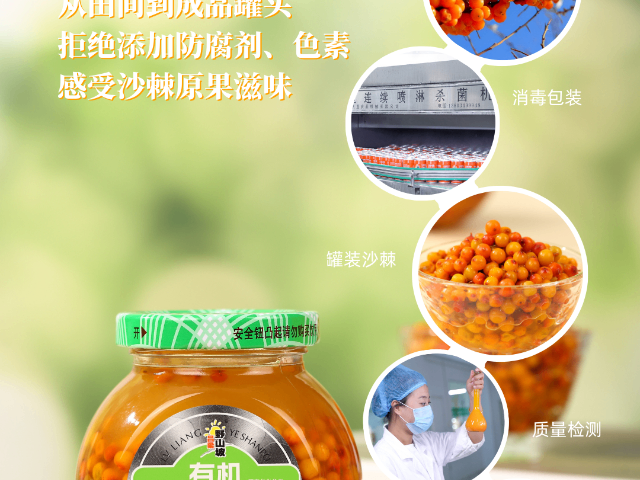 宁夏野生沙棘果罐头办公室零食
