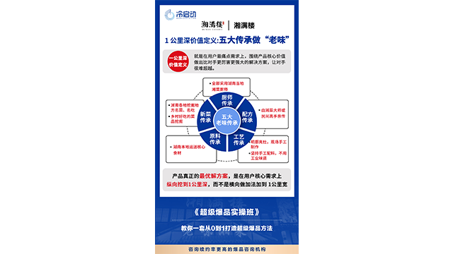 广州洽洽瓜子战略大单品咨询,战略大单品