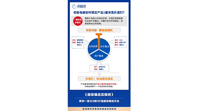 广东强需求战略大单品1V1咨询,战略大单品
