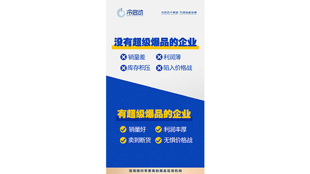 广东强需求战略大单品1V1咨询,战略大单品
