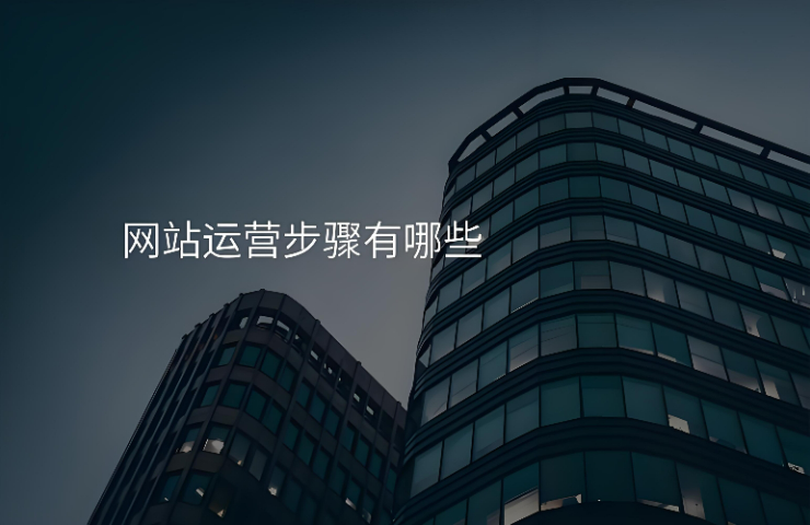 信都区网站运营代理商