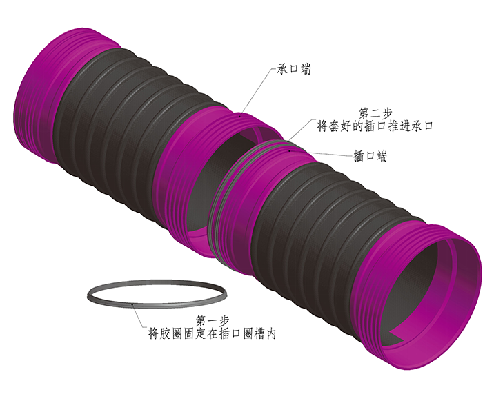 樱桃3