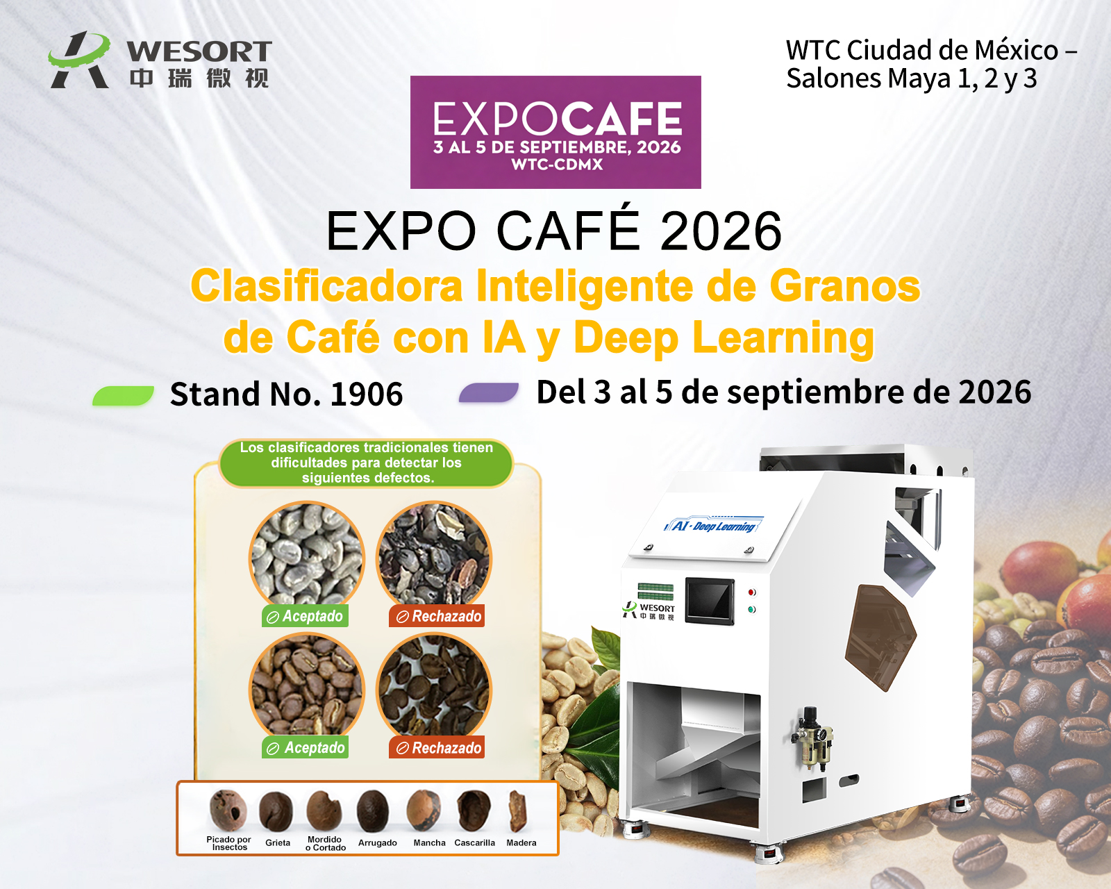 Cae5b65ec74cc20b1b688ab25f45674d