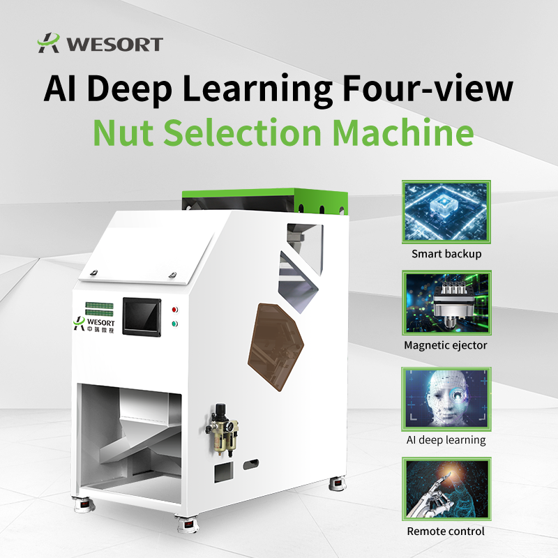 Optical Sorters for Nut Processing: Wesort's AI Approach
