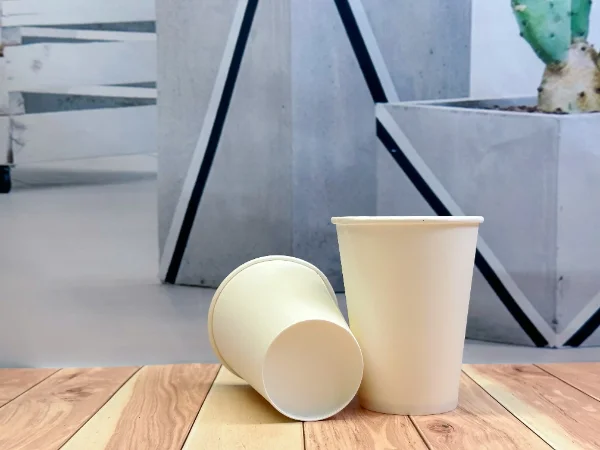 Advantages Of Eco-Friendly Recyclable EPP Plastic-Free Paper Cups