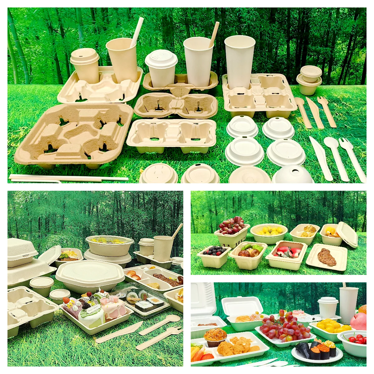 "Urban Wildlife Conservation Day: Protecting Ecosystems with Innovative ...