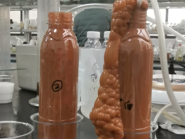 海南無析出消泡劑廠家電話 鑄造輝煌 廣州崍克保新材料科技供應