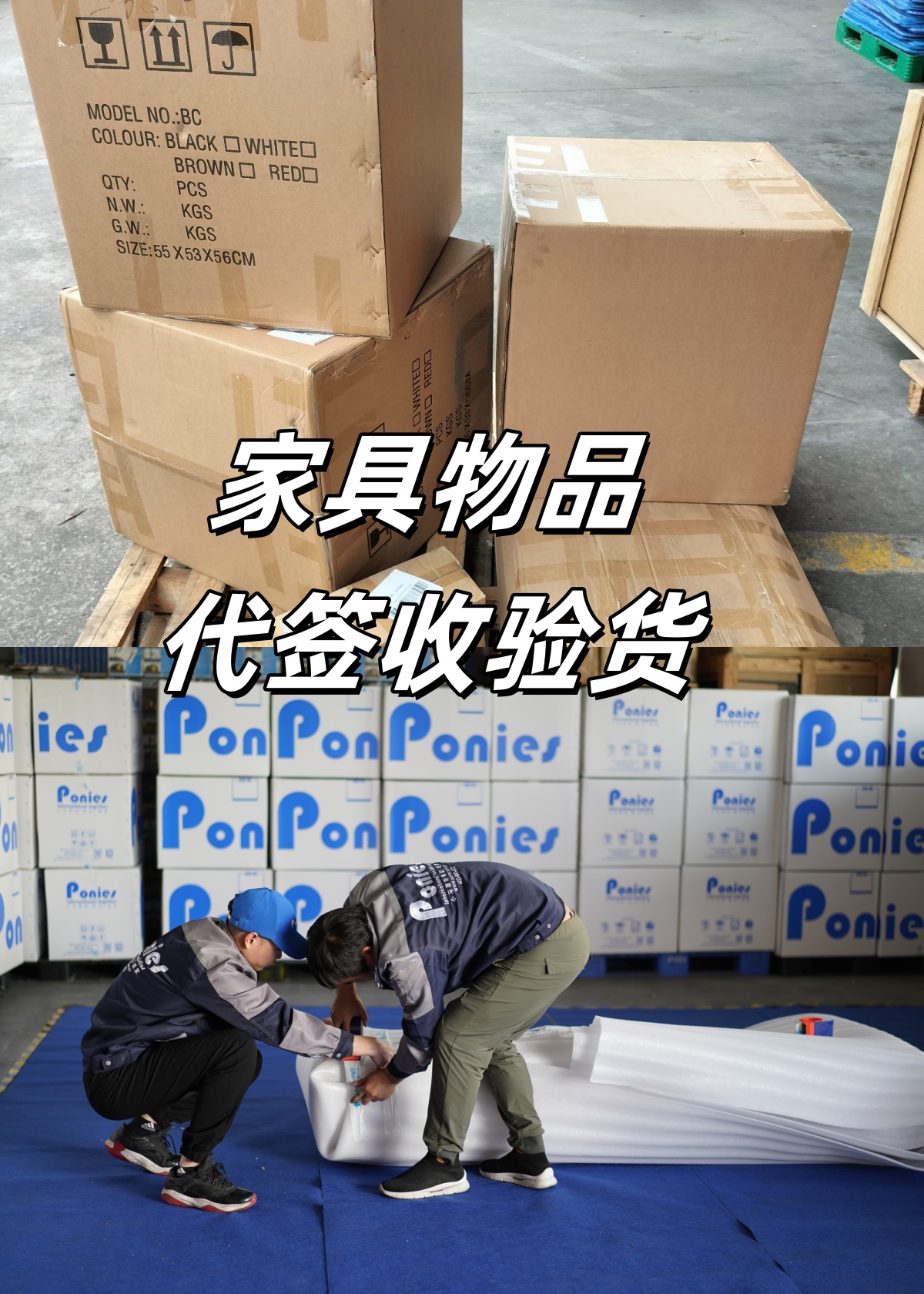 QQ圖片20240805161724_副本
