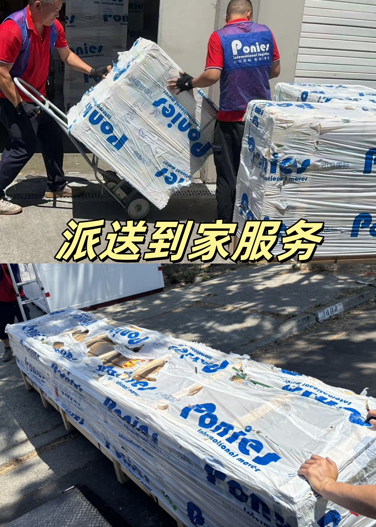 6e560263-de7c-471e-a751-a91b6666ca6c_副本