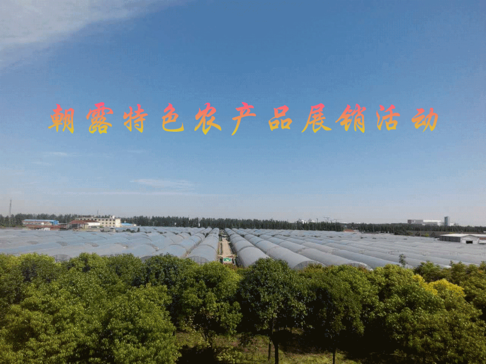 农旅融合新体验，2021朝露特色农产品展销活动在合庆郊野公园